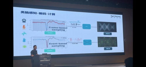 第二屆腦機接口技術開發者大會在蓉舉辦，聚焦前沿技術開發與產業融合